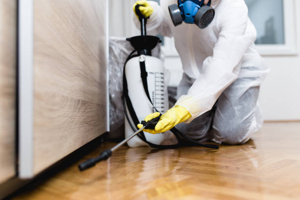 Professional Pest Control in Sewanee, TN