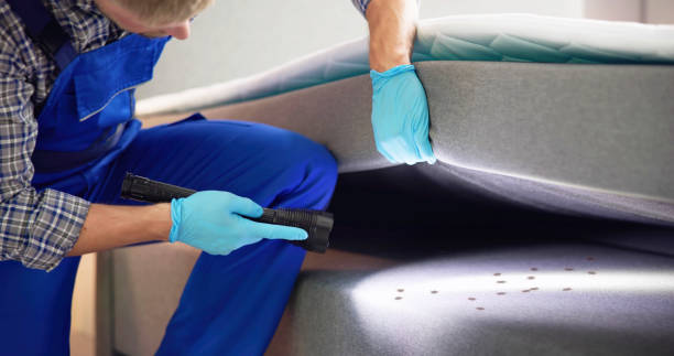 Best Termite Control Services  in Sewanee, TN