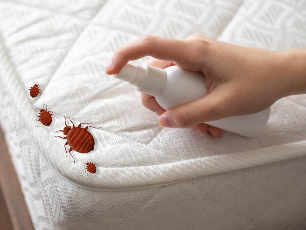 Best Pest Prevention Services  in Sewanee, TN